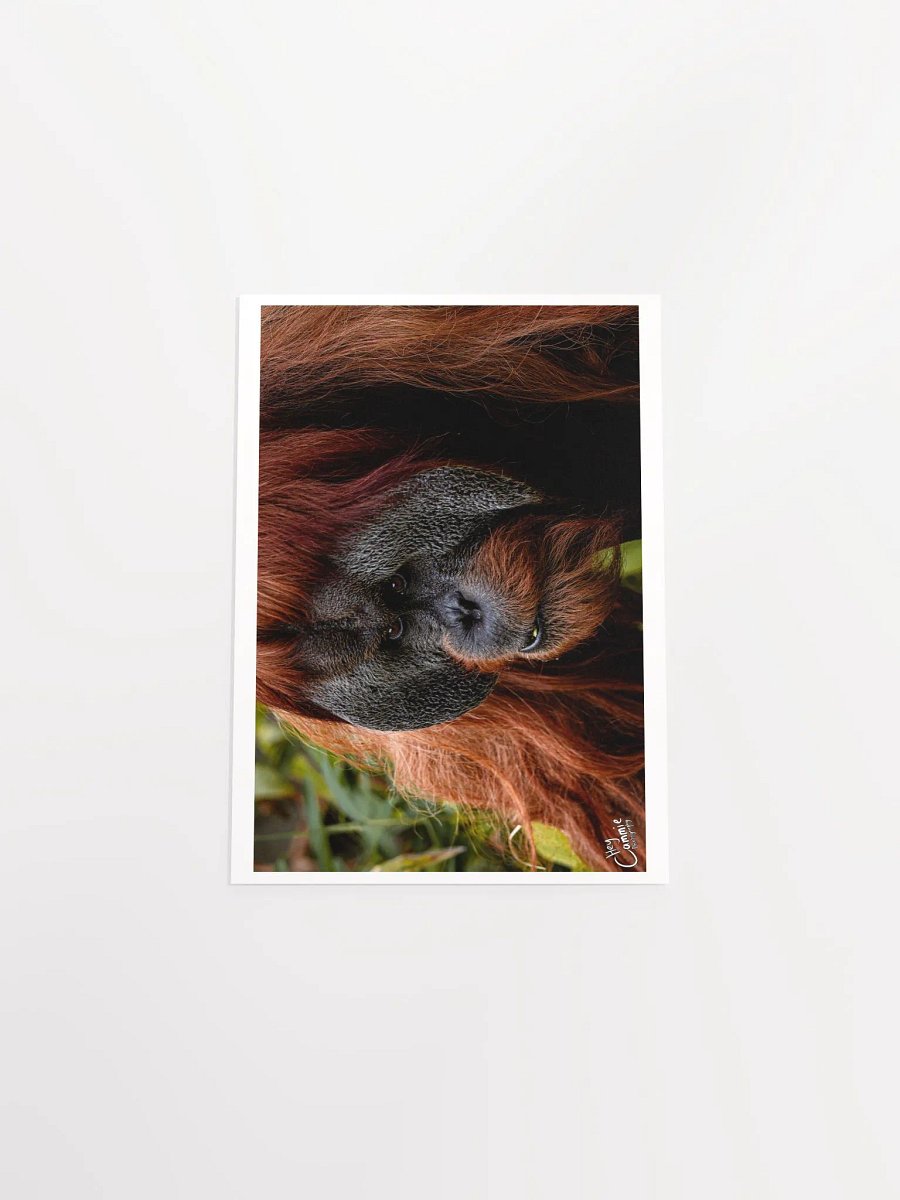 Graceful - Print product image (4)