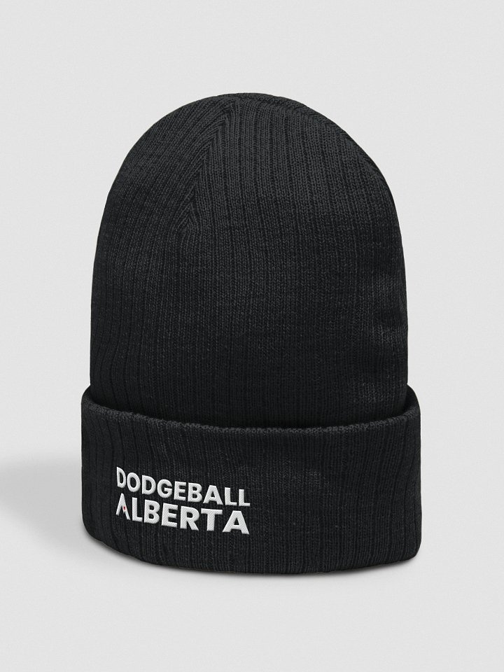 Alberta Dodgeball Touque product image (2)