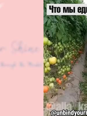 #duet with @Unbind Your Mind #fyp #Godisgood #foodtiktok #natural#growyourownfood #gardening #feedeveryone #unveilyourshine 