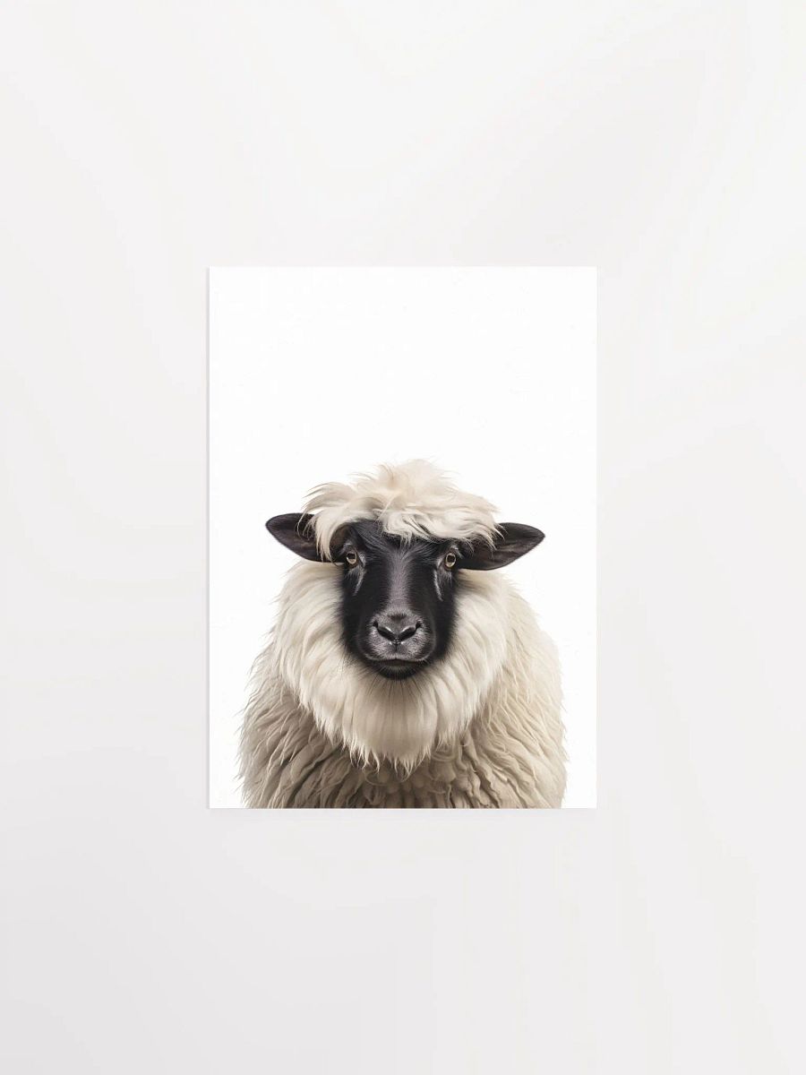Cute Fluffy Sheep product image (3)