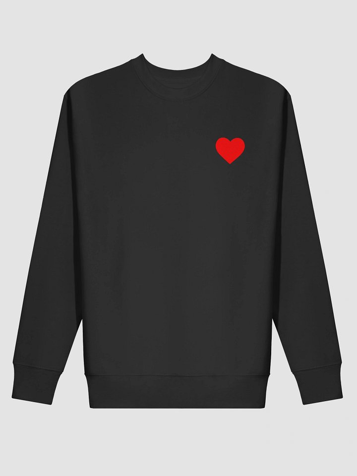 Sweatshirt - slo.ex.austin product image (2)