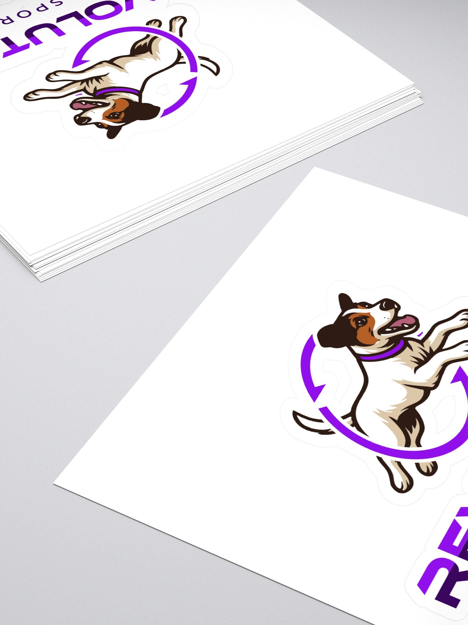 RDS Logo Sticker product image (4)