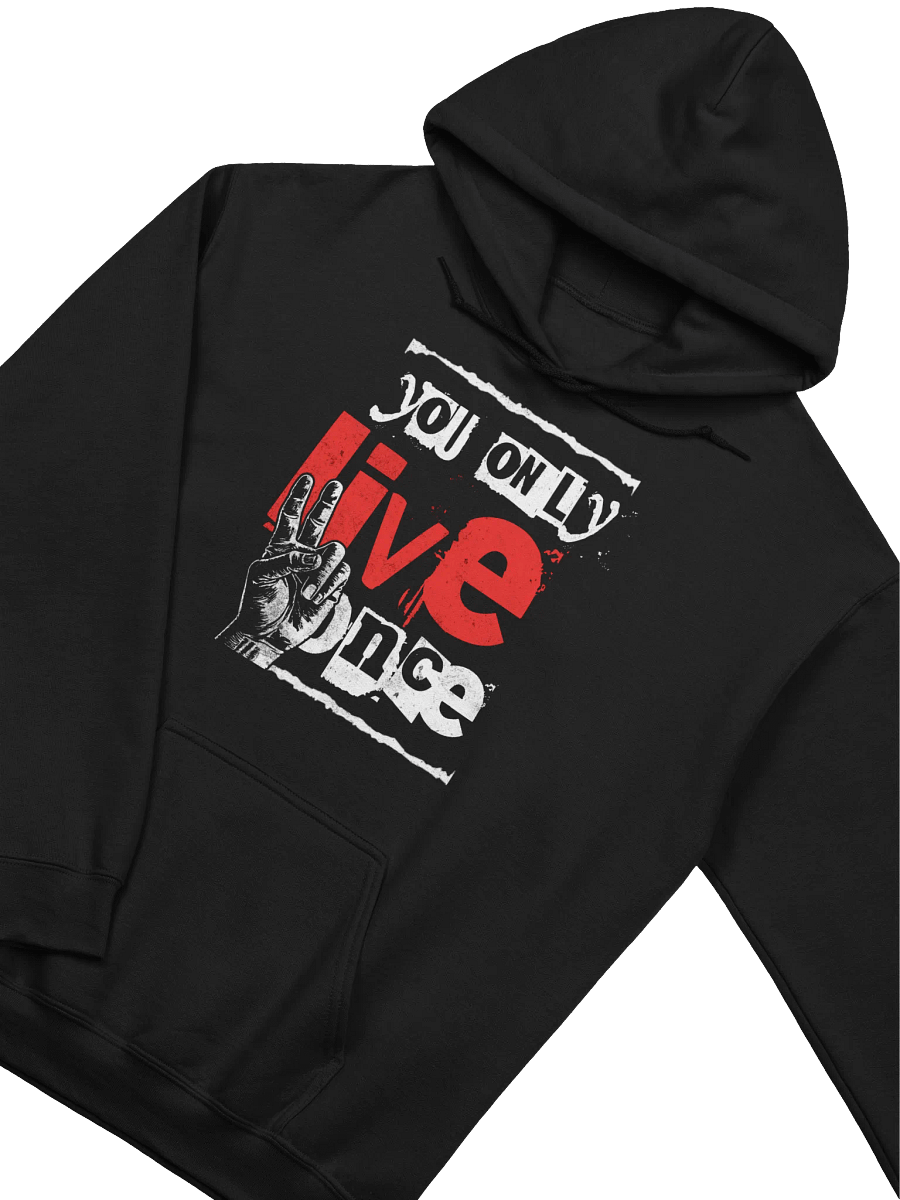 "Yolo" Hoodie product image (3)