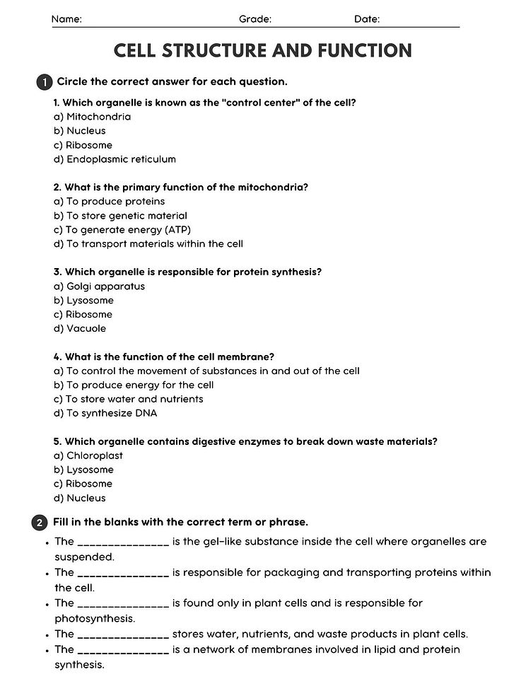 Cell Structure & Function Worksheet - Biology Activity product image (1)