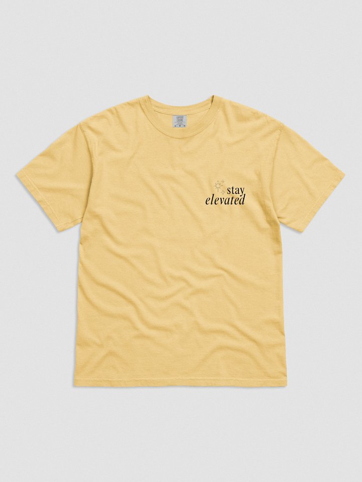 Stay Elevated Embroidered Tee (Light) product image (1)