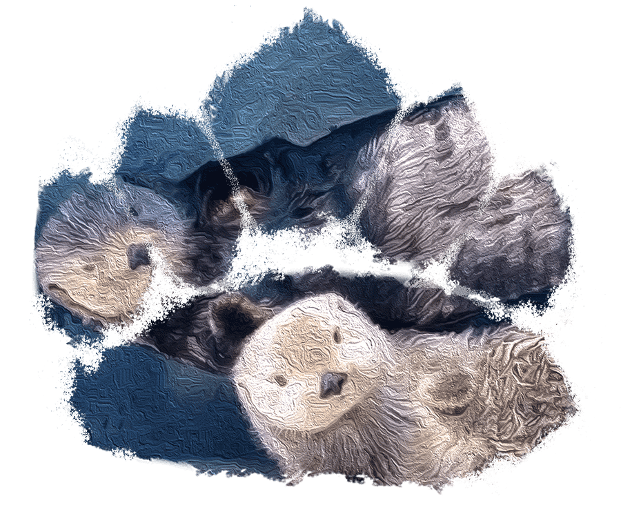 About Otters Lightweight Hoodie product image (7)