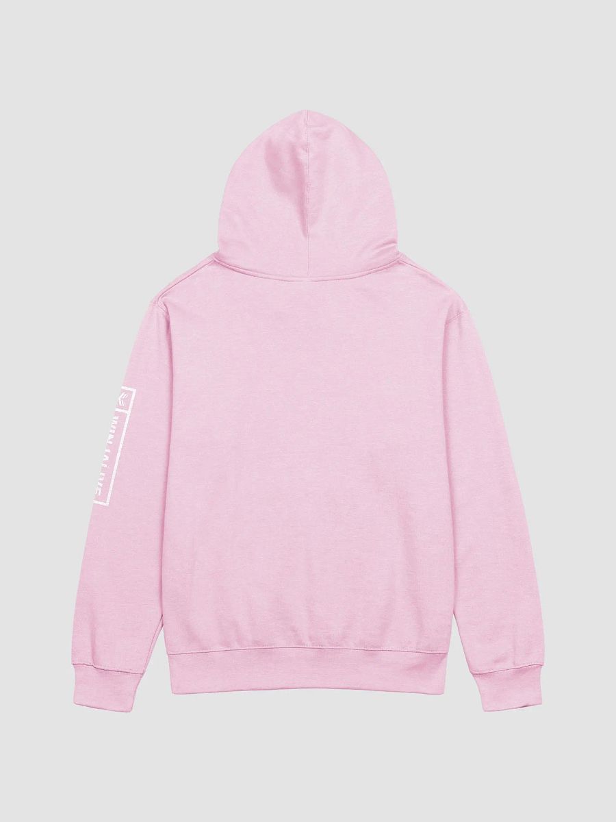 Origins x WinjaLive Colorway Hoodie product image (3)