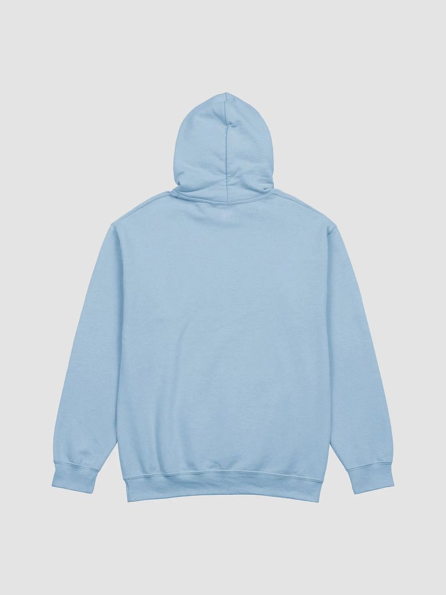 Brainz 4 Sale Pull-Over product image (15)