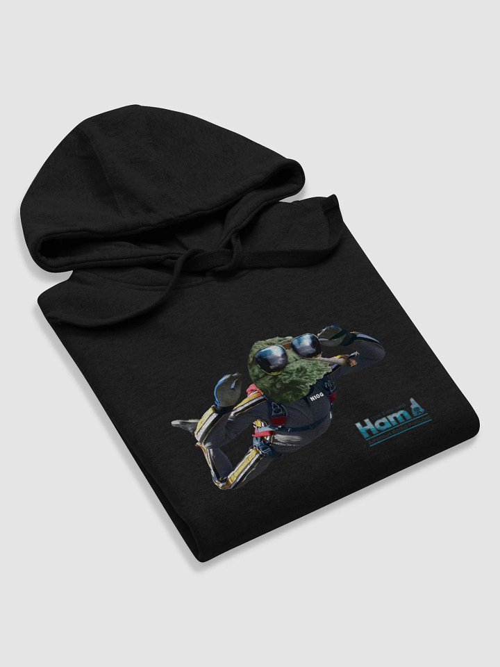N1OG Skydiving LFH Hoodie product image (2)