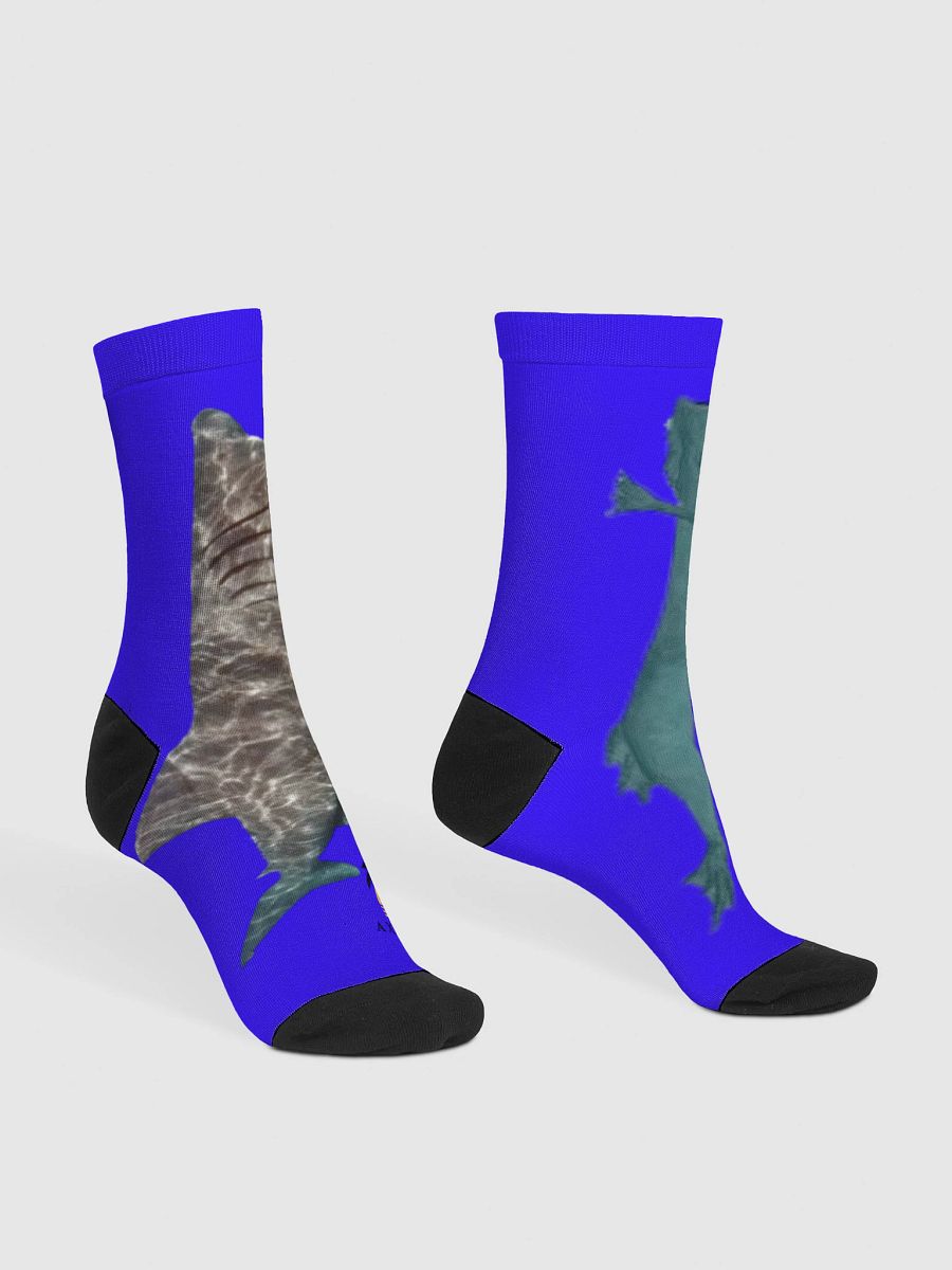 sea eater and basking shark socks product image (3)