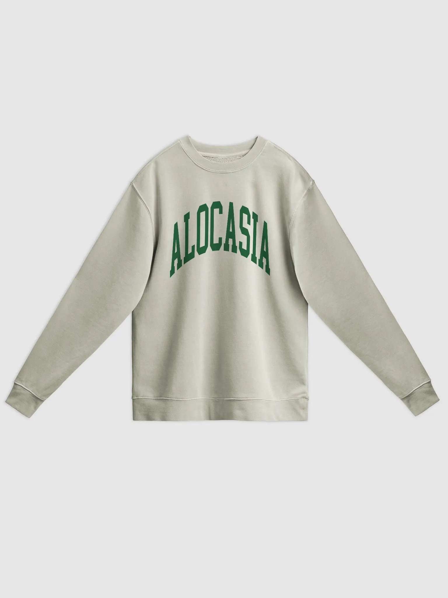 ALOCASIA varsity unisex midweight pigment dyed crewneck product image (1)