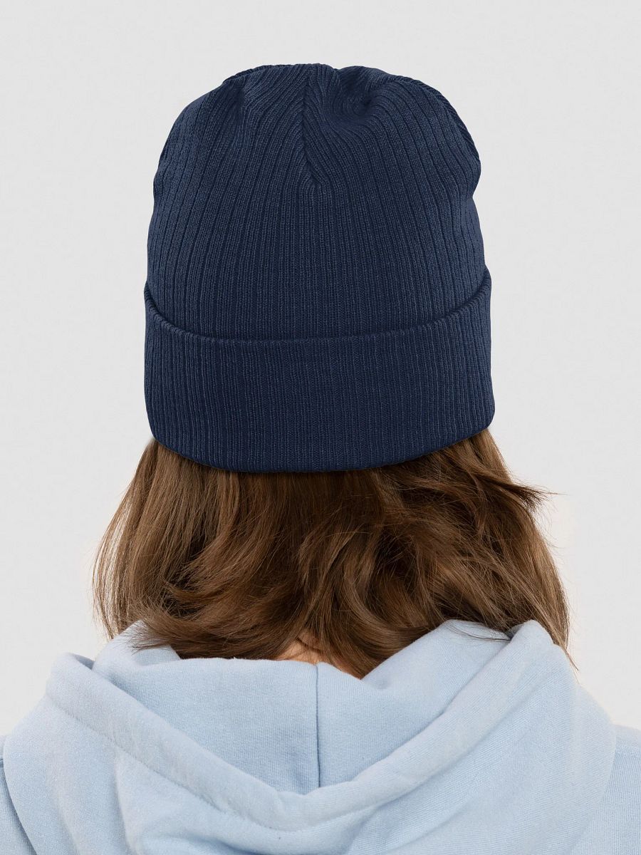 Criminal Records Crew Beanie product image (9)