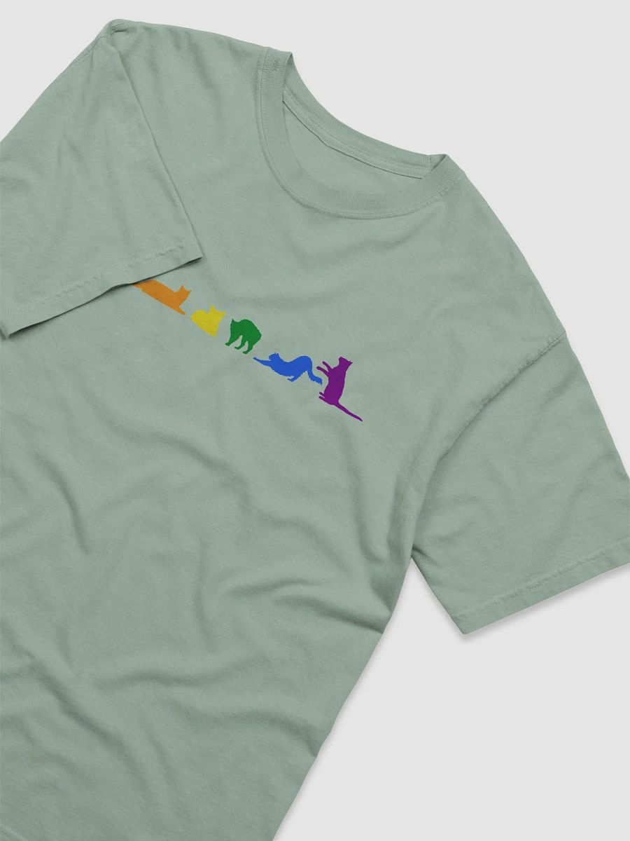 Rainbow Pride Cats Men's Shirt product image (39)