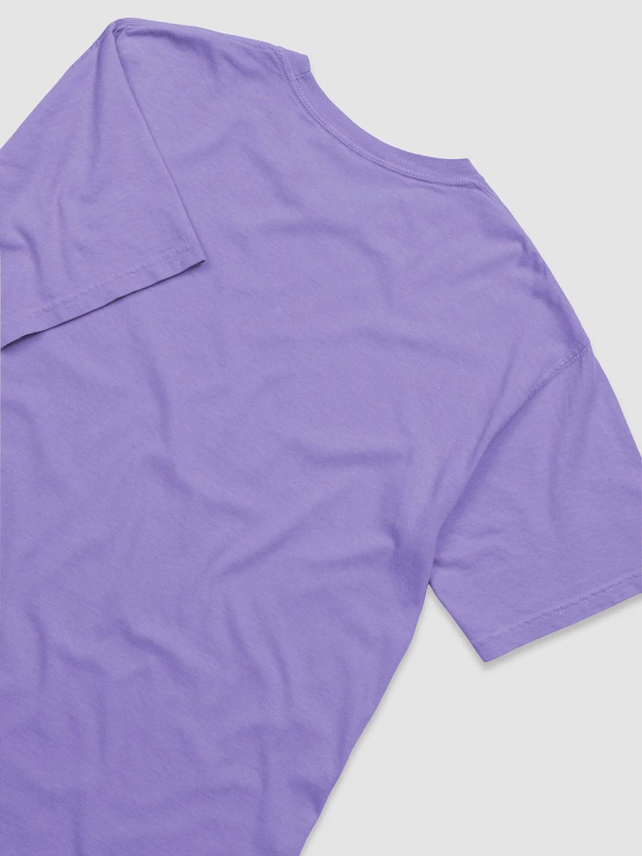 I Don't Give a Duck Tee product image (50)