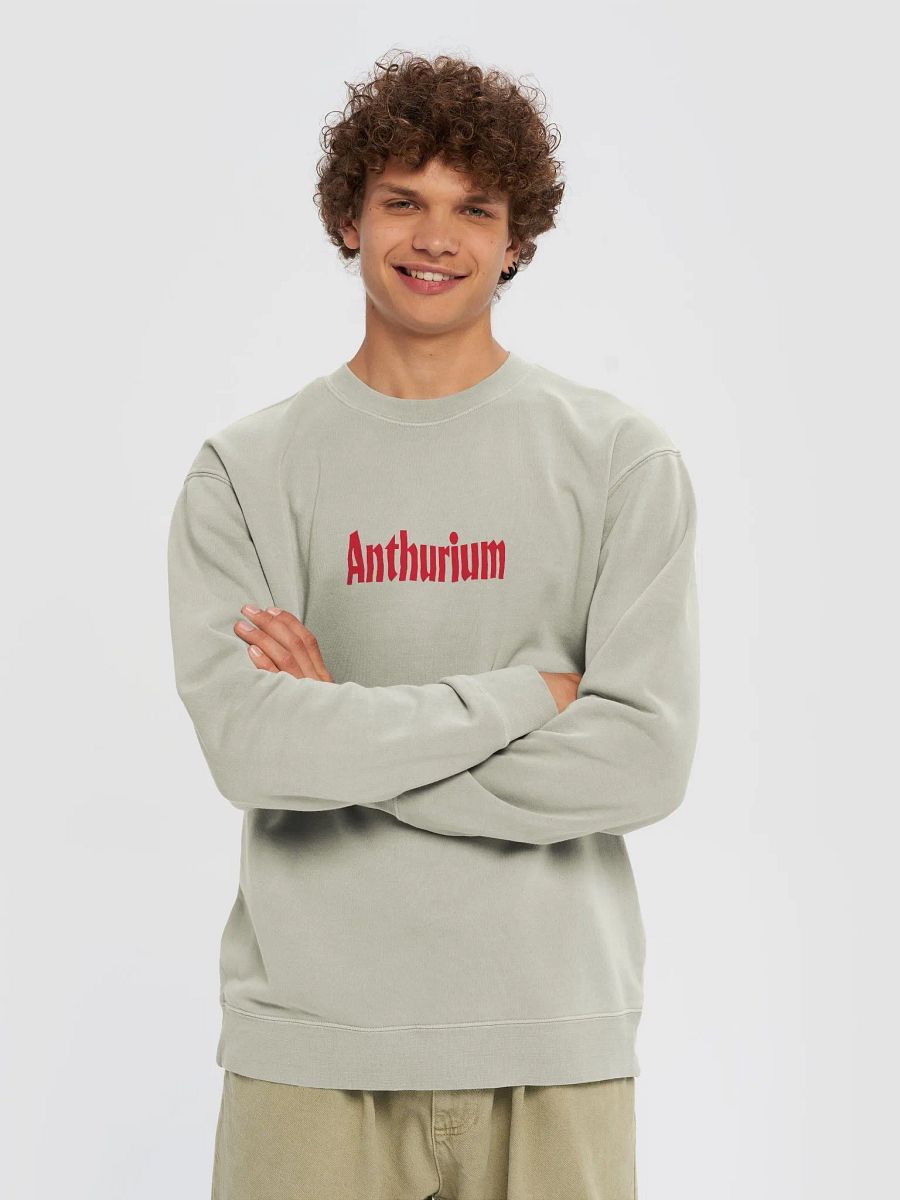 ⚡️ ANTHURIUM WORLD TOUR ⚡️ unisex midweight pigment dyed sweatshirt product image (3)