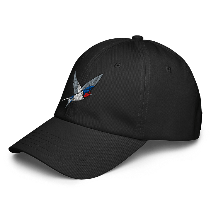 Swakkow Embroidered Dad Hat product image (7)