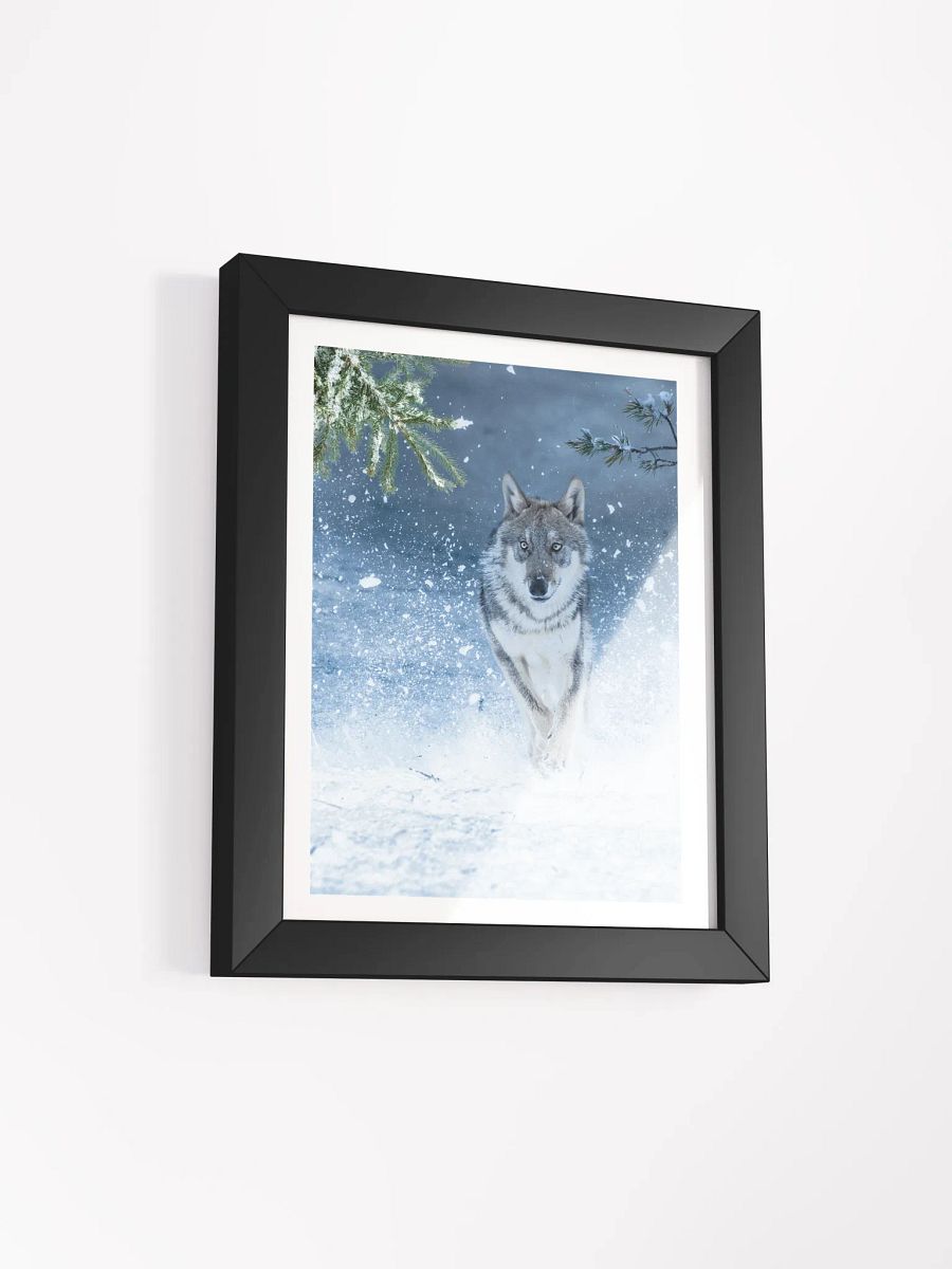 WOLF ON THE HUNT product image (32)