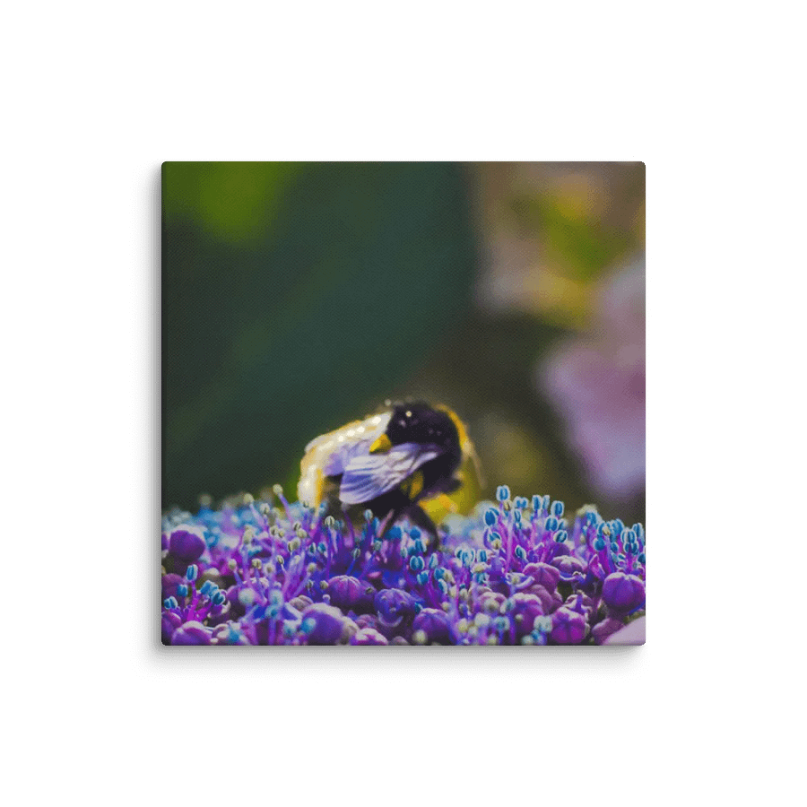 BEE HAPPY product image (1)