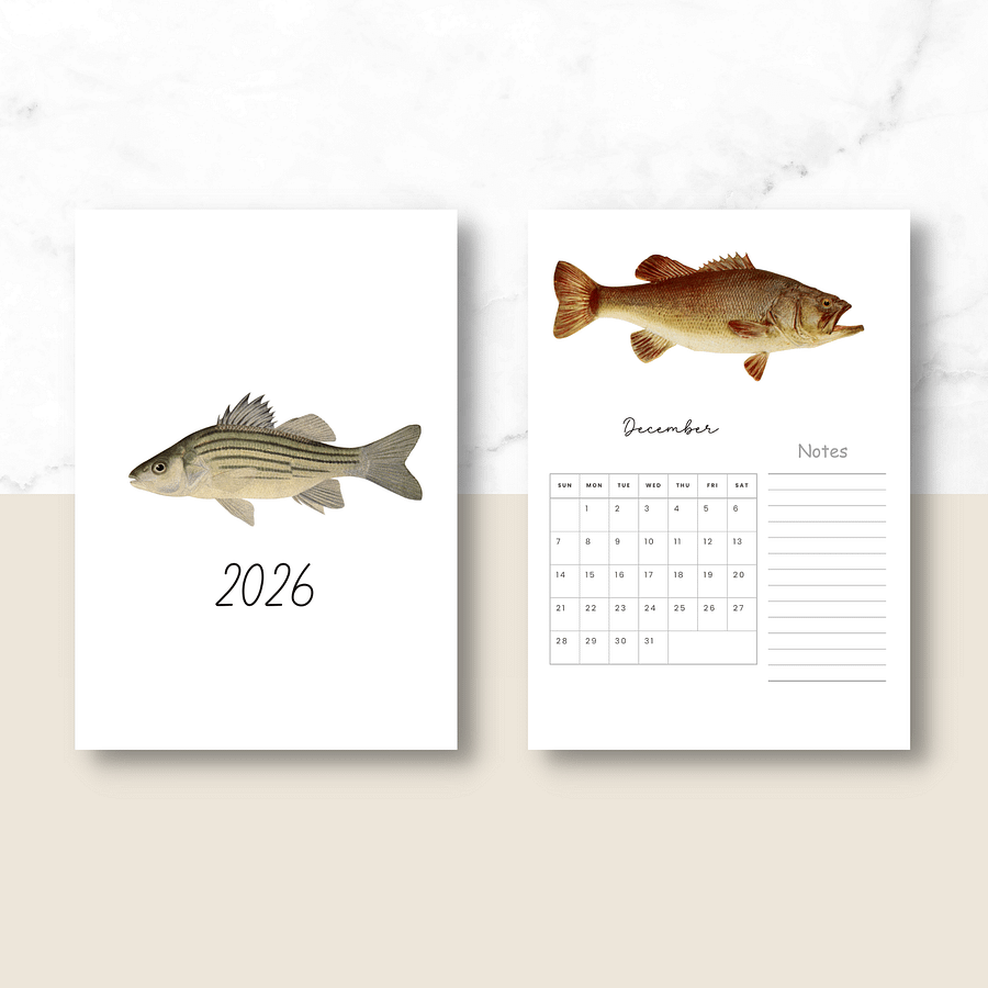 2025- 2026 PDF Calendar: Ocean Life product image (7)