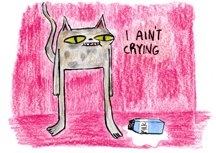 A6 Print! I Ain't Crying product image (1)