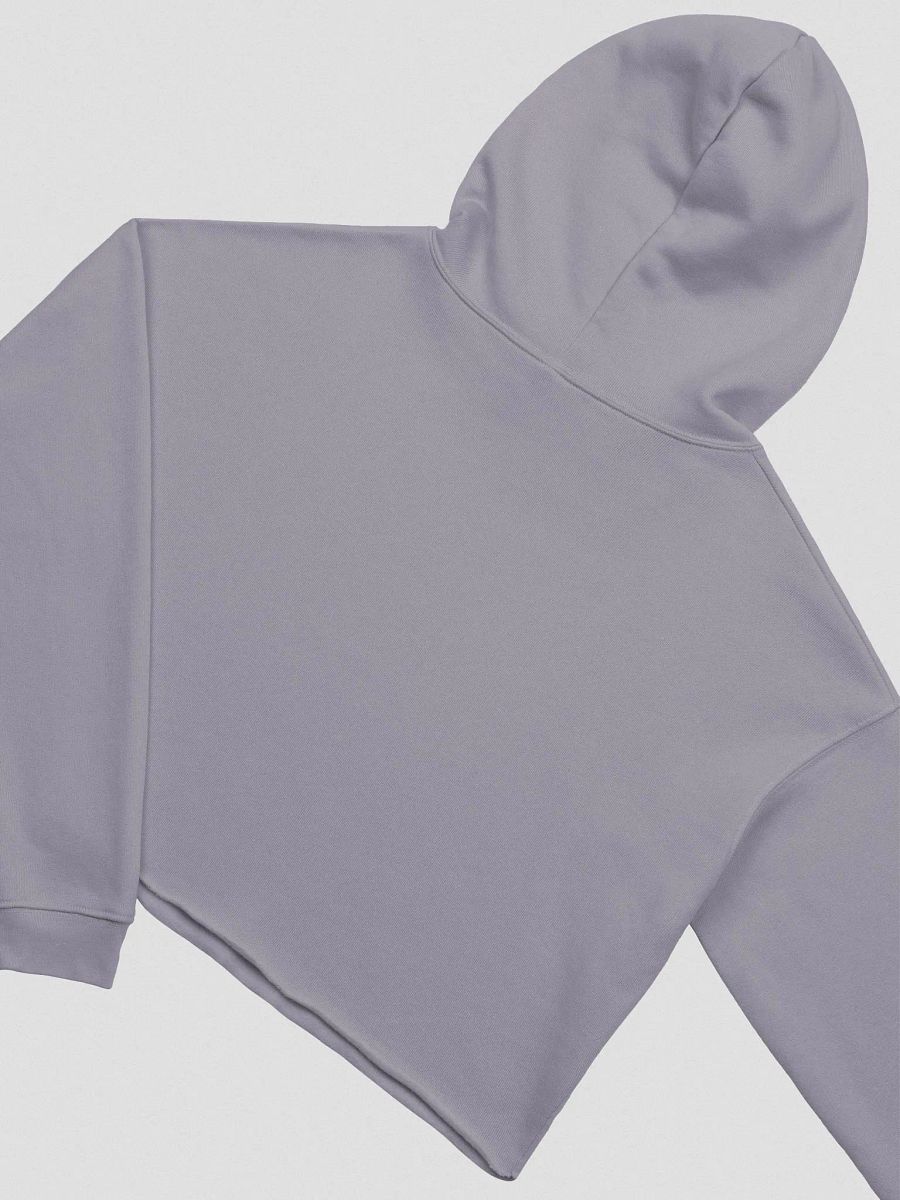 Shades of Red - Cropped Hoodie product image (2)