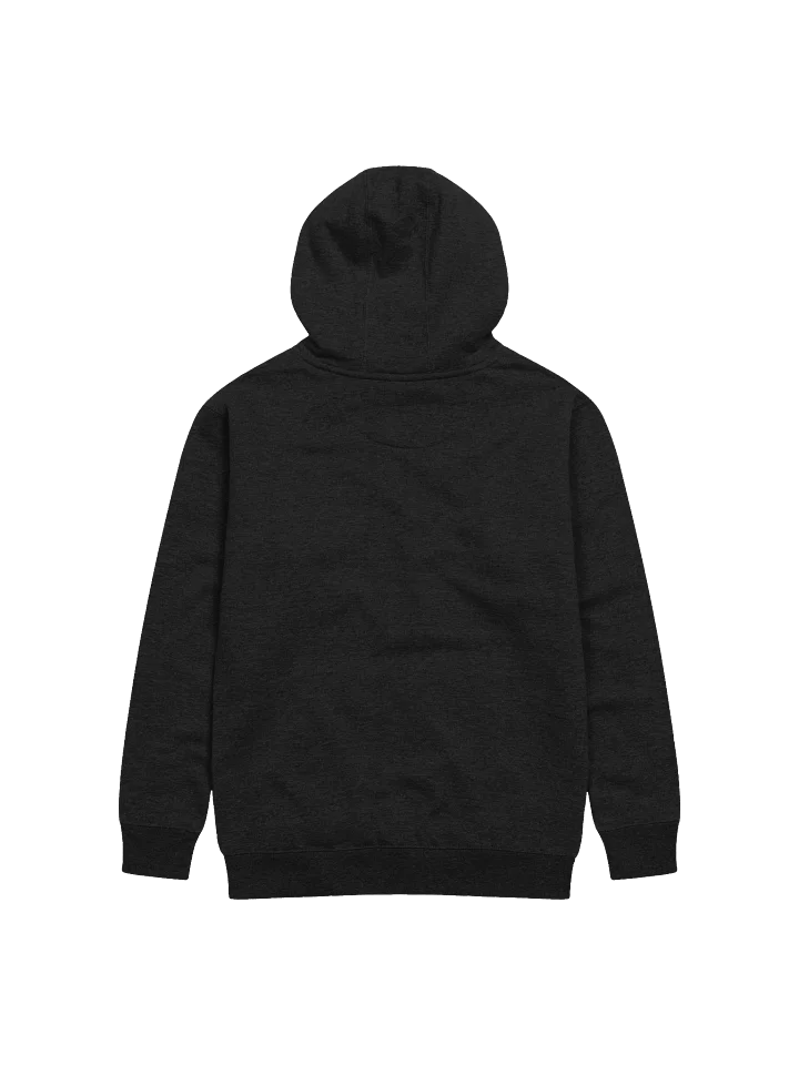 Chaos in Training Hoodie product image (16)