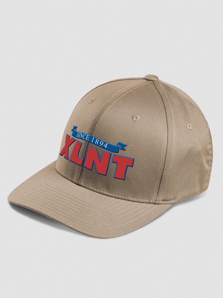 XLNT Foods Flexfit Logo Hat product image (2)