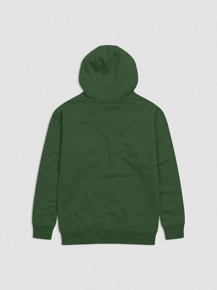 Wealthy & Healthy - Embroidered Hoodie product image (6)
