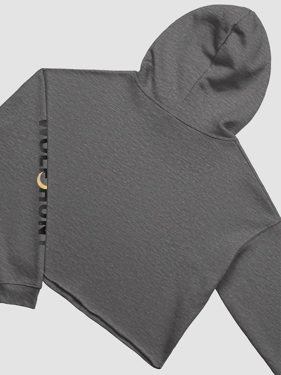 Aim For The Head Hoodie product image (4)