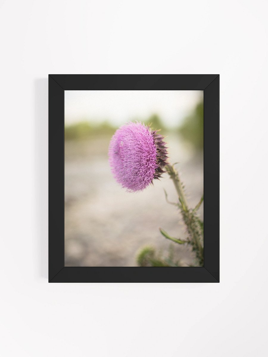 Flower - Blackfoot, Idaho product image (10)