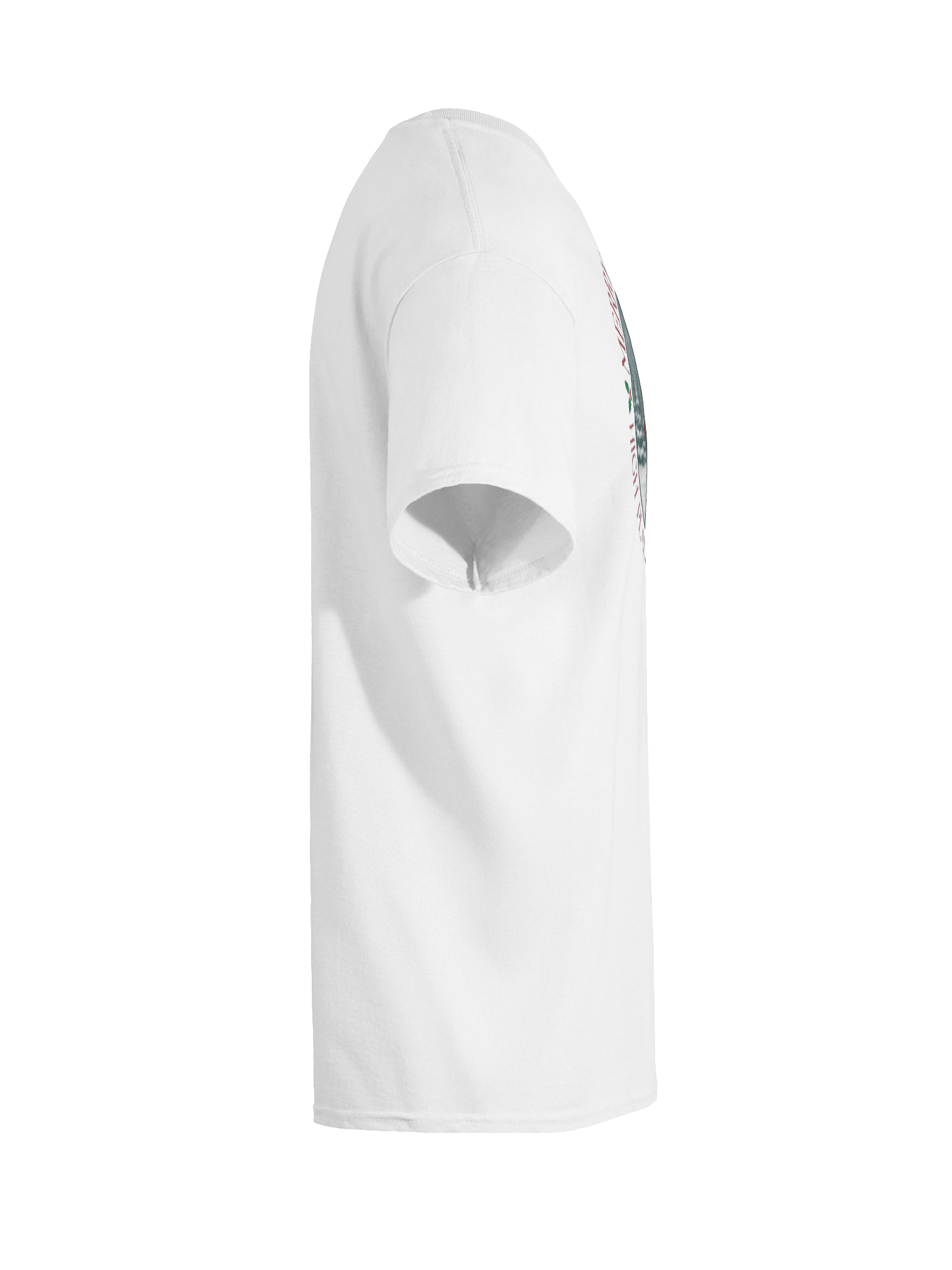 Santa Fencing Christmas Shirt product image (48)