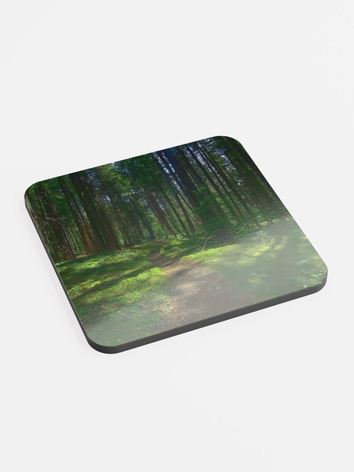 Lower Dungeness Trail Timber sun lighting Cork Coaster product image (2)