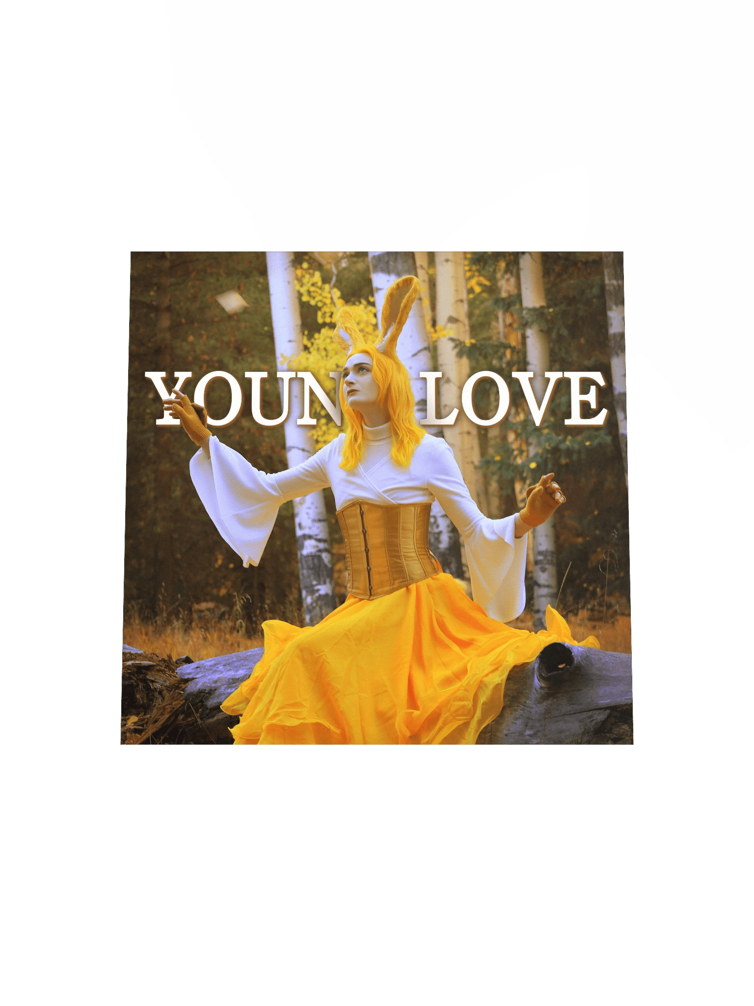 Young Love Poster [3 of 4] product image (4)