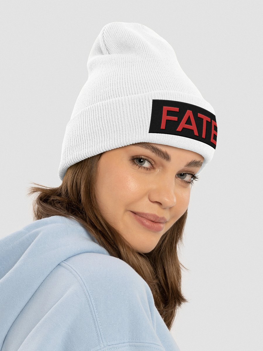 Yupoong Cuffed Beanie: fate 2.0 product image (40)