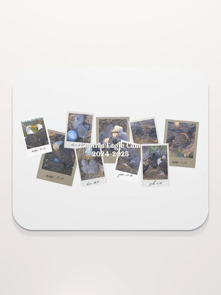Journey | Mouse Pad | Captiva Eagle Cam 2024-2025 product image (1)