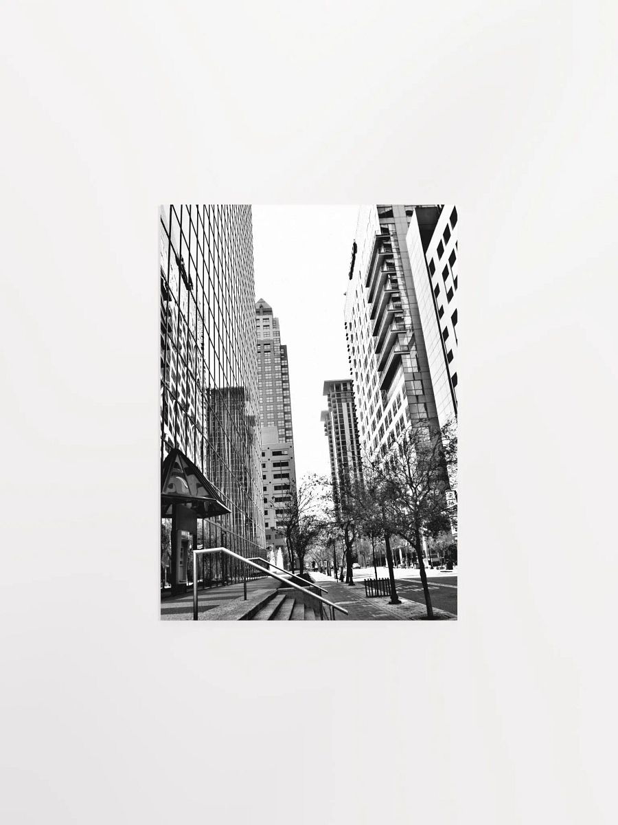Downtown Orlando 2 product image (14)