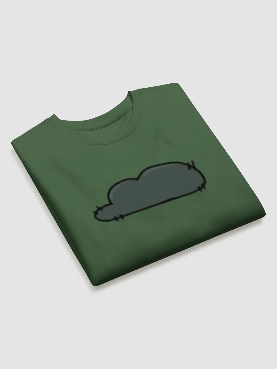 Dyan's Signature Green Sweater product image (3)