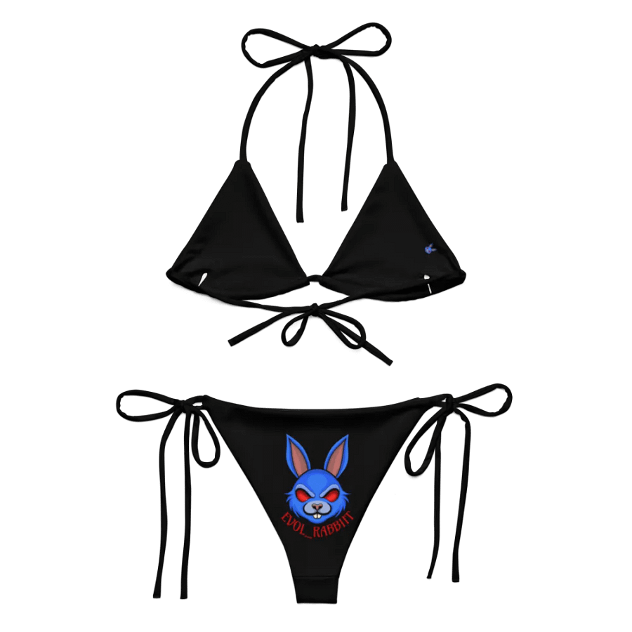 Evol Bikini product image (3)