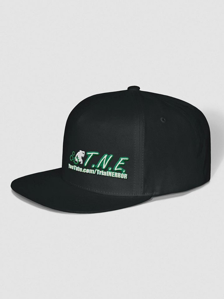 Embroidered TNE Logo Cap product image (2)