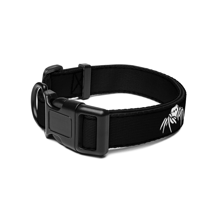 "My other dog is a jumping spider" dog collar product image (2)