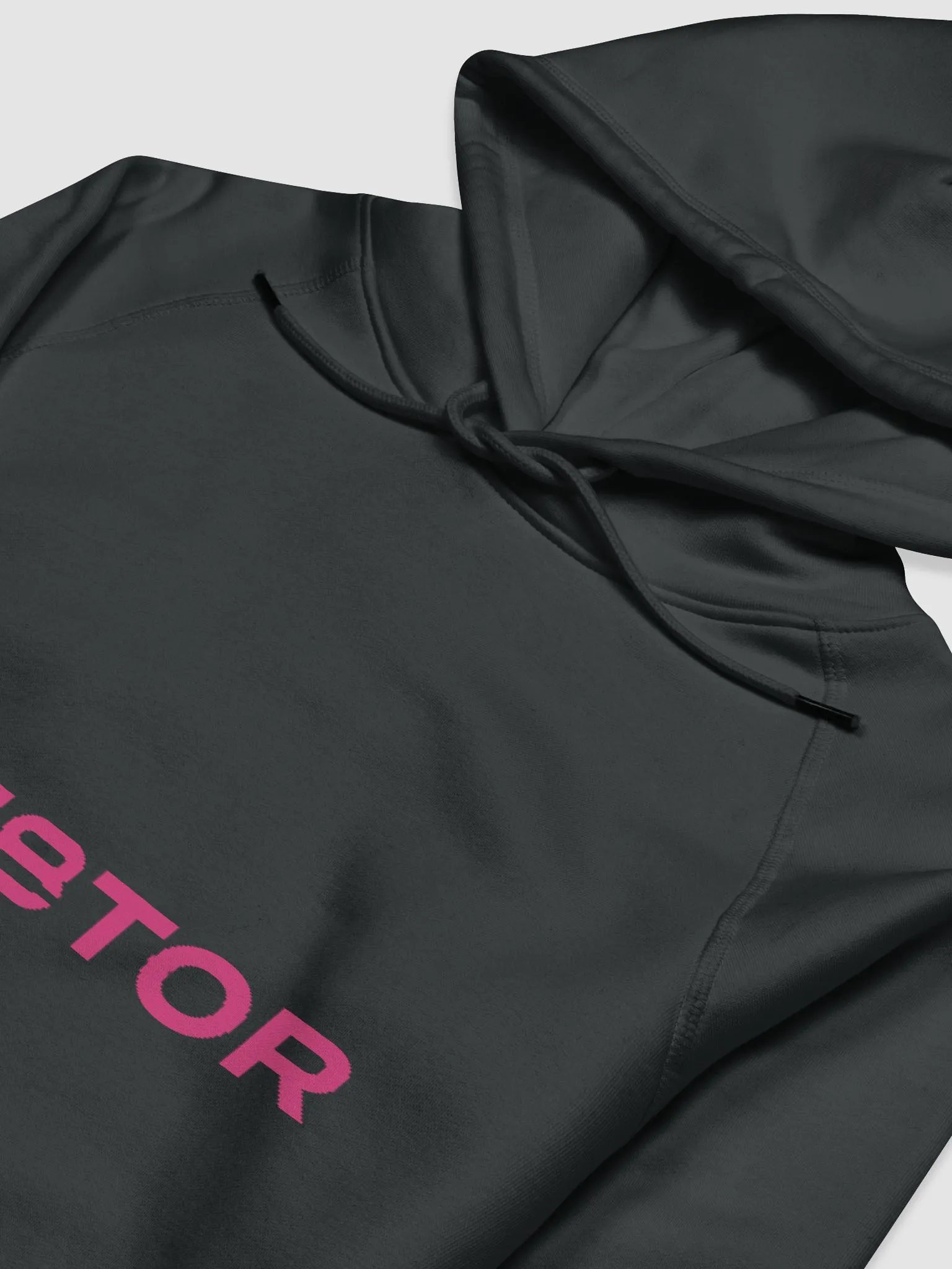 Cre8tor Day 1 Hoodie product image (5)