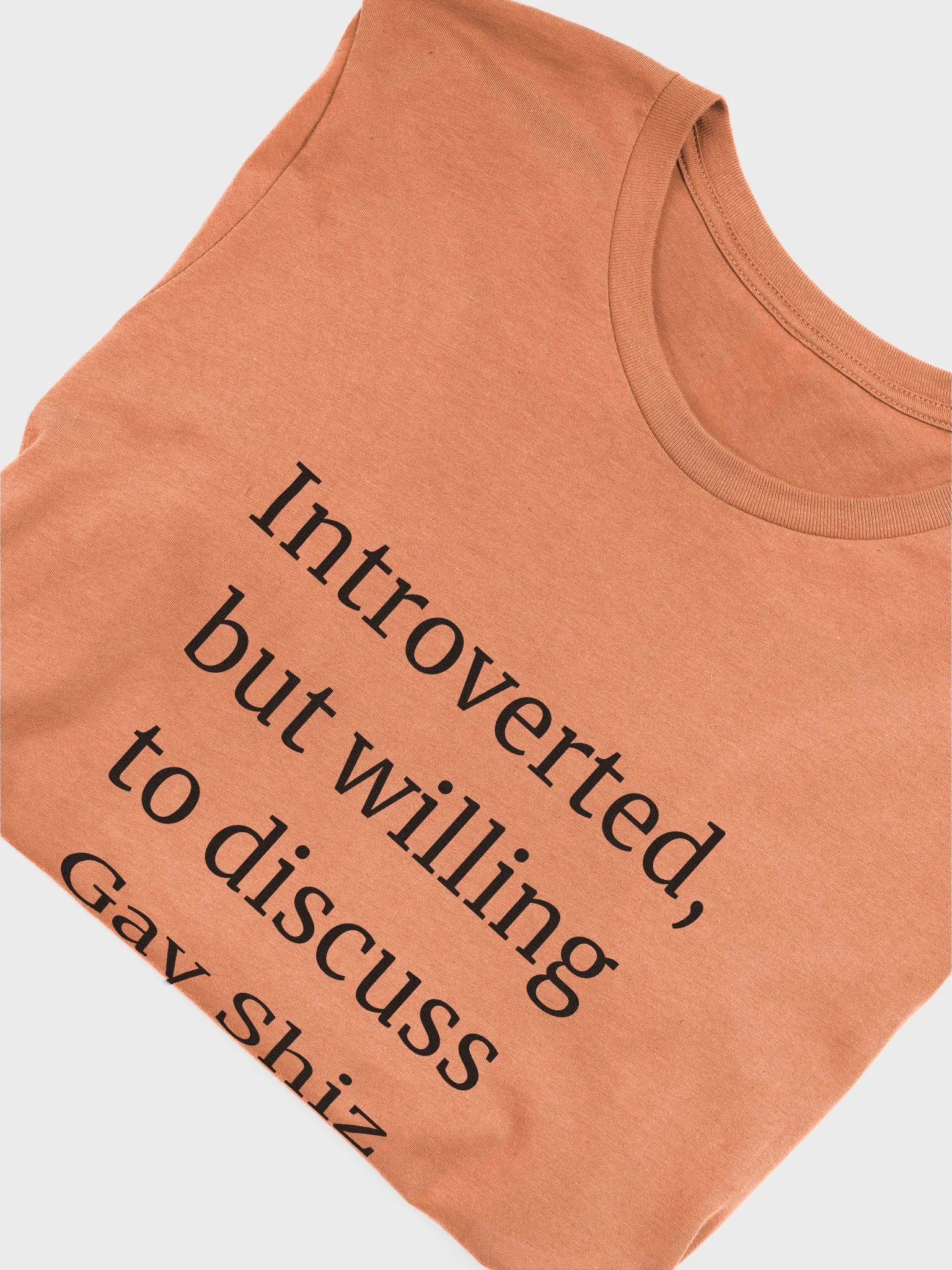 T-Shirt: Gay Shiz product image (4)