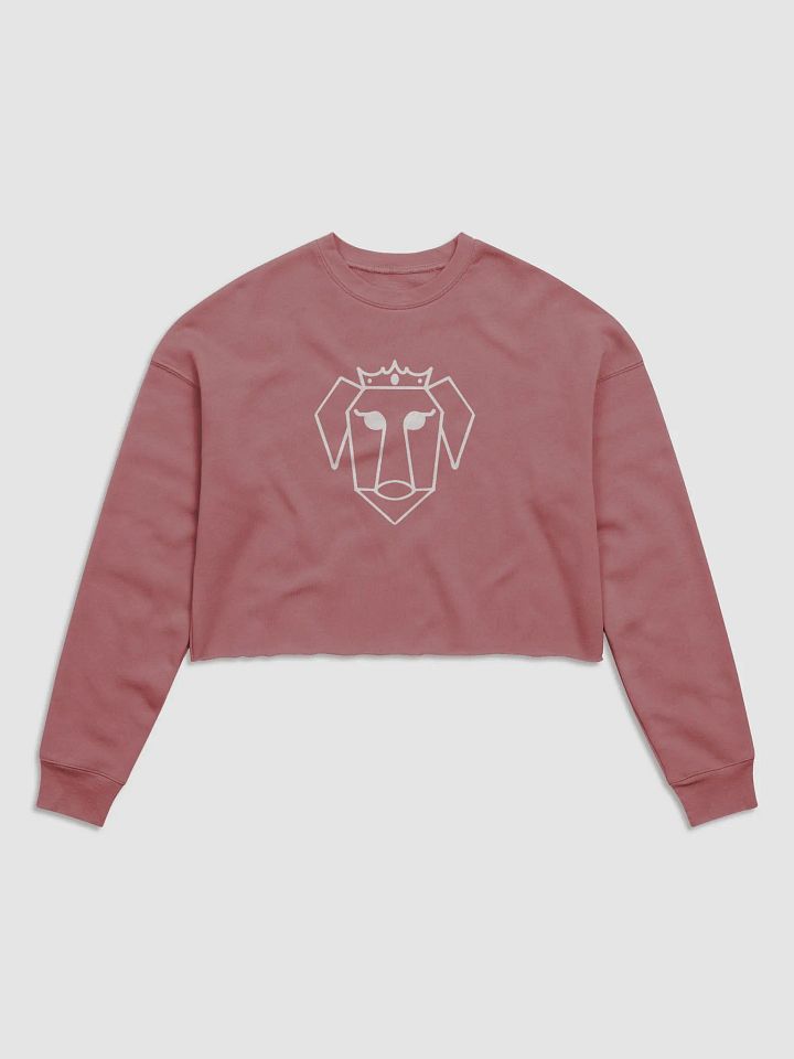 White Xena XP Logo Crop Sweatshirt product image (26)