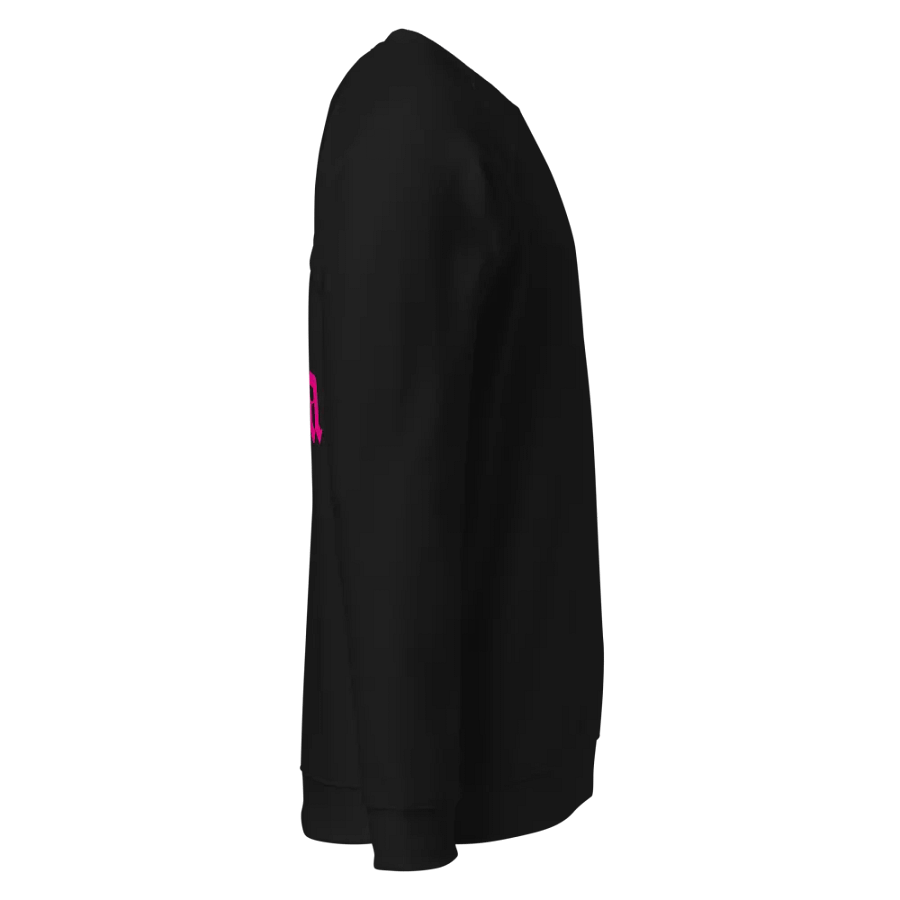 Equilibrium Libra Raglan Sweatshirt product image (15)