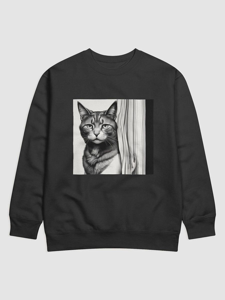 Cat product image (2)
