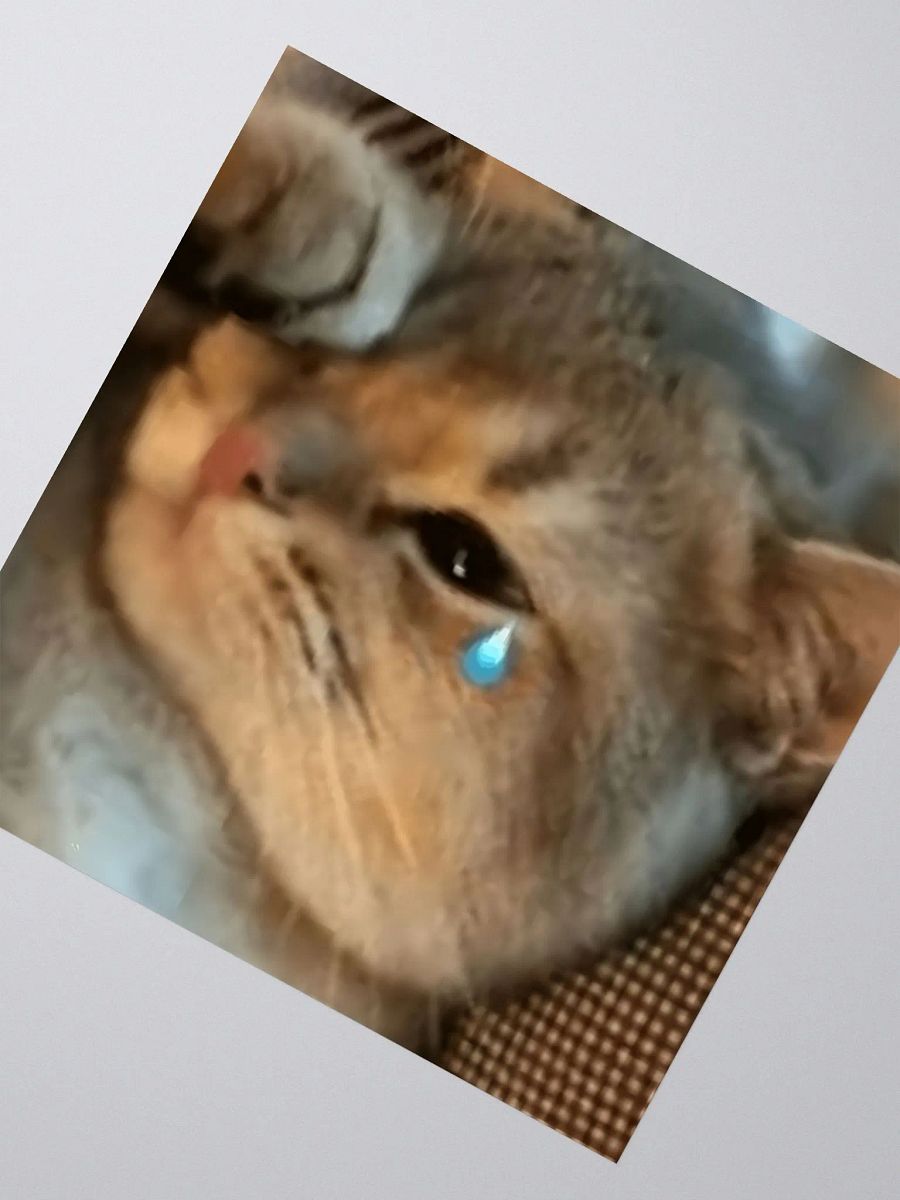 Kiss Cut Stickers: Meme Cats product image (2)