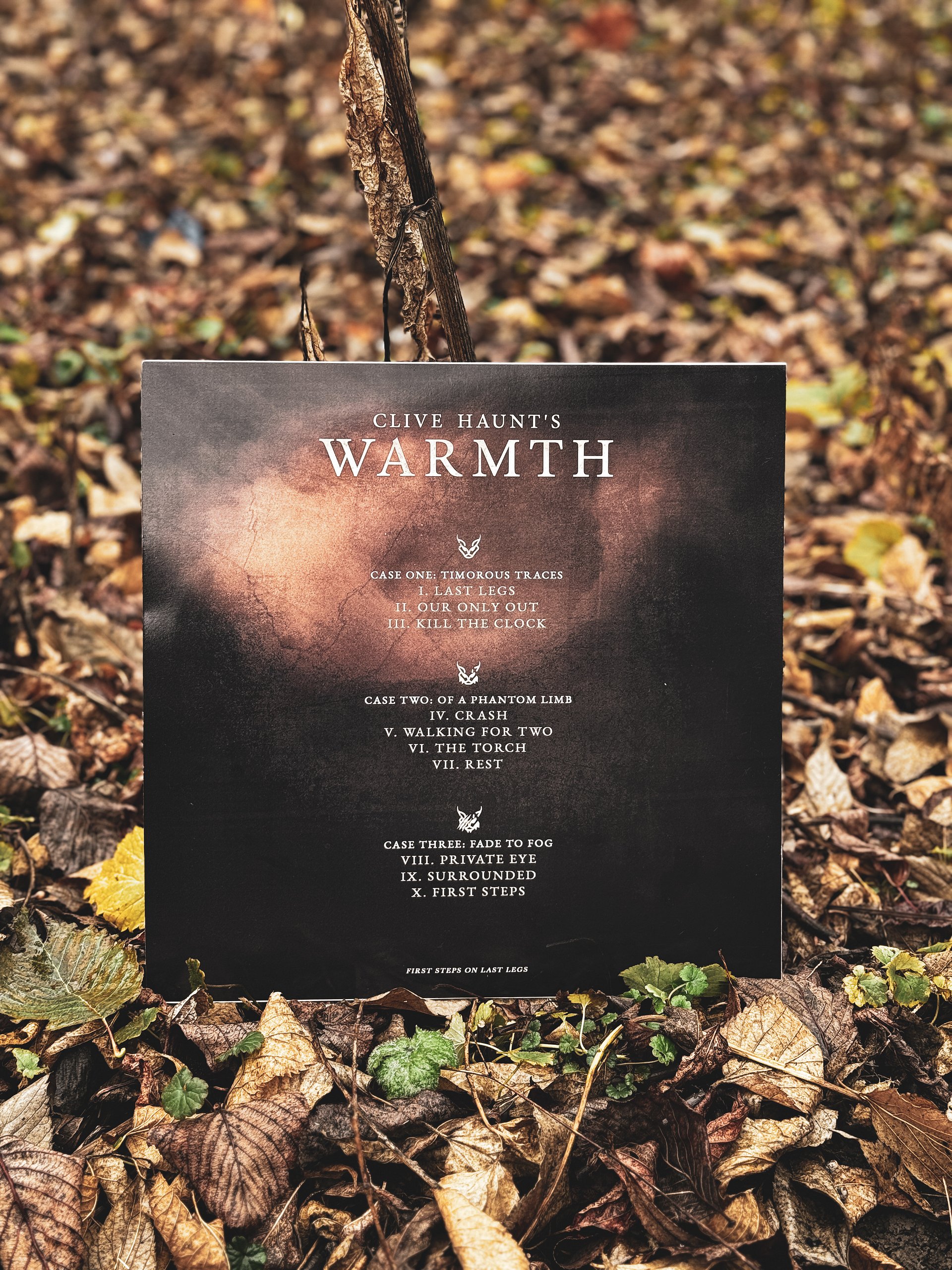 WARMTH - 12'' Vinyl LP Bundle product image (3)