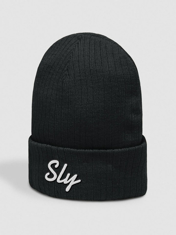 Ribbed Knit Beanie product image (2)