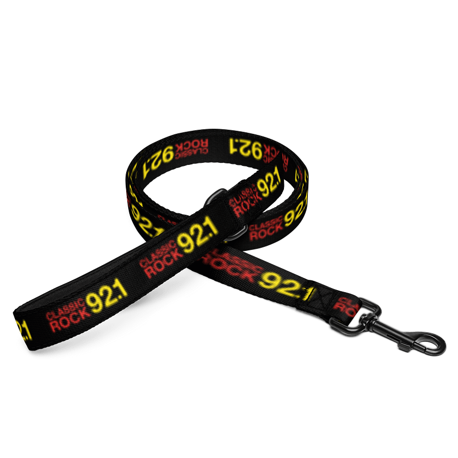 Dog Leash product image (1)