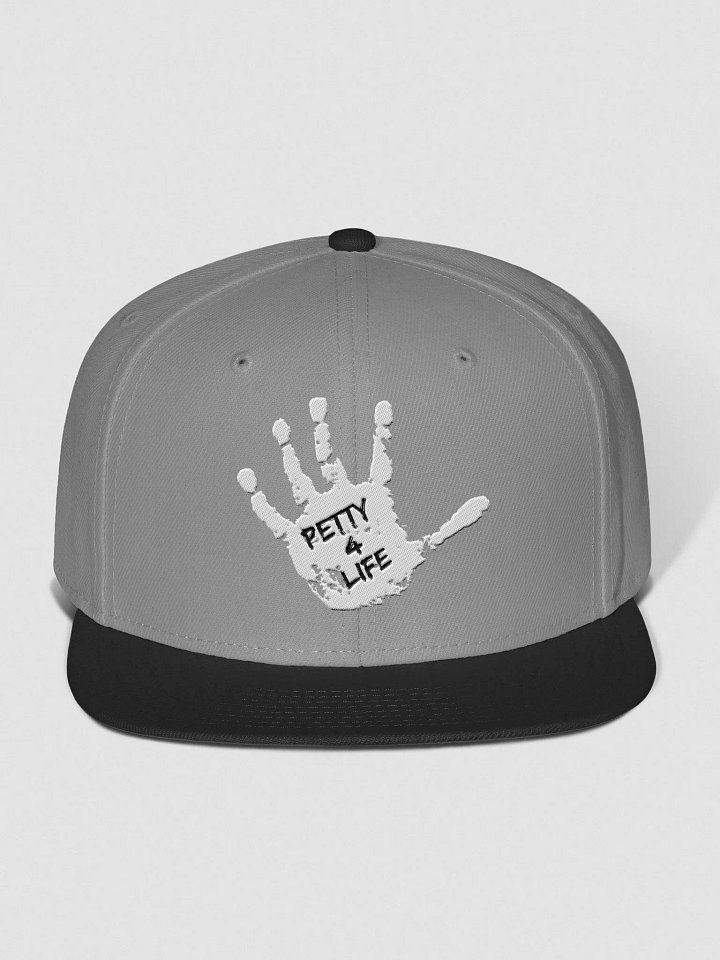 P4L Cover product image (10)